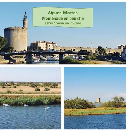 Appartamento La Du Golf Double Terrasse 2 Piscine Wifi - Rossiconciergerie - Linge Inclus