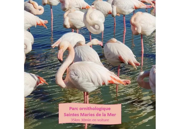 La Du Golf Double Terrasse 2 Piscine Wifi - Rossiconciergerie - Linge Inclus Appartamento